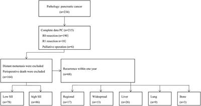 Prognostic and recurrent significance of SII in patients with pancreatic head cancer undergoing pancreaticoduodenectomy